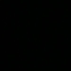 Meet your Posher, Jack